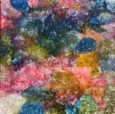 48 Primavera K53, 2019.jpg